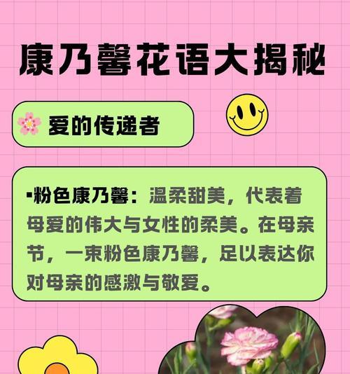 19朵康乃馨的花语有何深意？康乃馨代表了哪些情感？