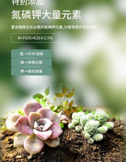 君子兰施肥时能否使用多菌灵？如何正确施肥？