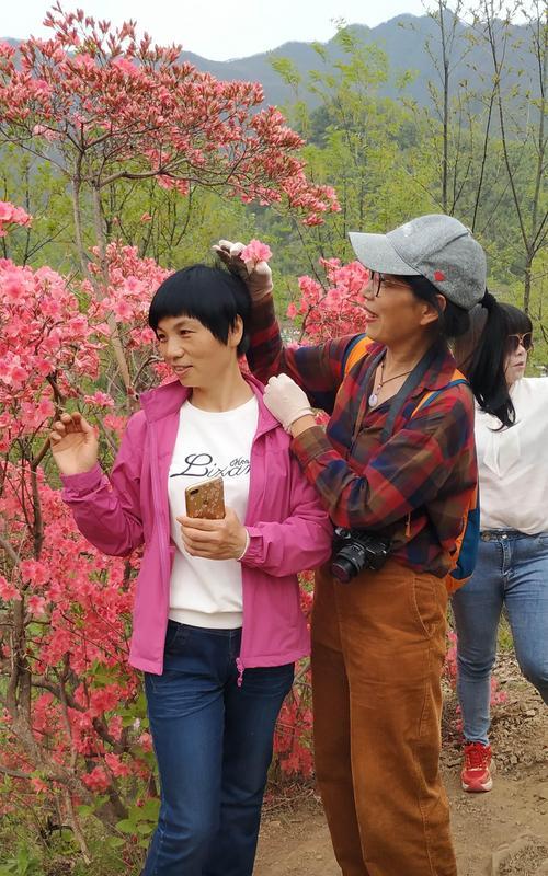 花椒味儿的花语有何寓意？