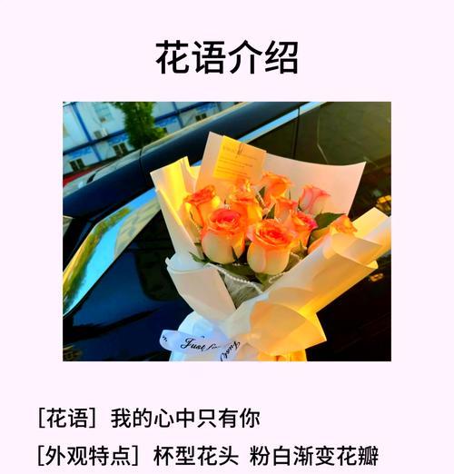 道具最真挚的爱情花语是什么？哪种花代表纯真的爱？