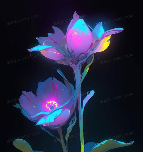 发光的花象征着什么？