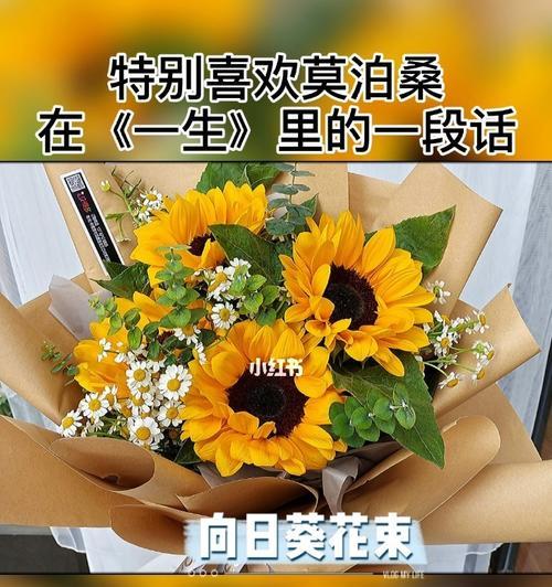 向日葵的花语是什么？这种花语如何体现在品牌中？