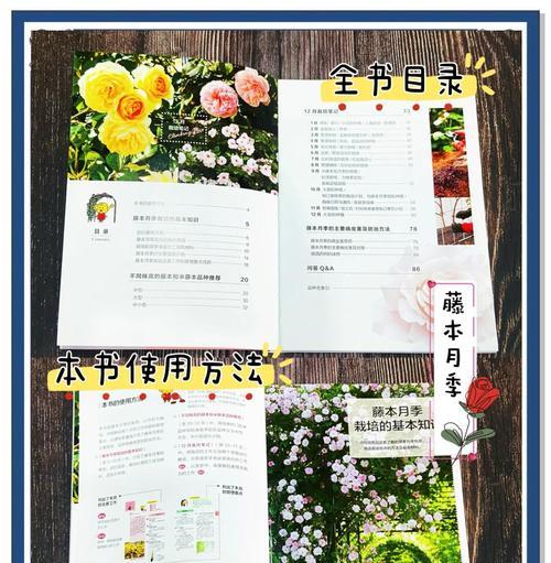 变色鲜玫瑰花的养护方法有哪些？