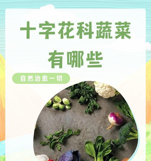 切西兰花的花语代表什么含义？