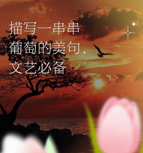 两串葡萄代表什么含义？