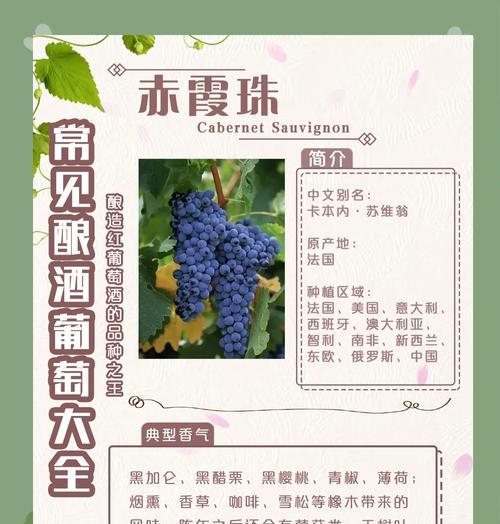 两串葡萄代表什么含义？