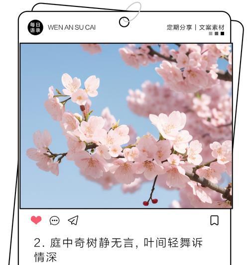 眉中花语的意思和造句是什么？这种花语在句子中如何表达？
