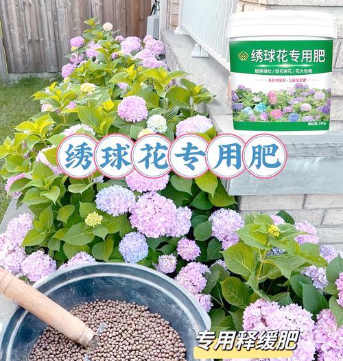仙人球适合哪种肥料？评测结果如何选择最佳肥料？