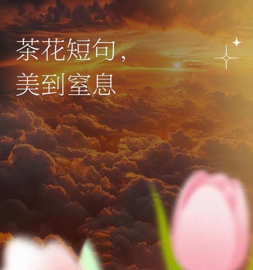 花语茶香系列作品名字是什么？