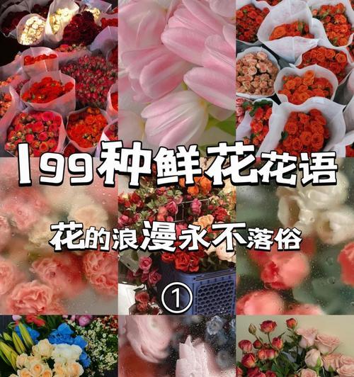 哪种花语表示对你有好感？