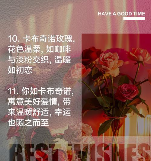 999朵卡布奇诺代表什么花语？