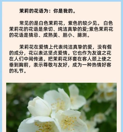 什么花语表示只爱一个人？只爱一个的花语具体是什么？