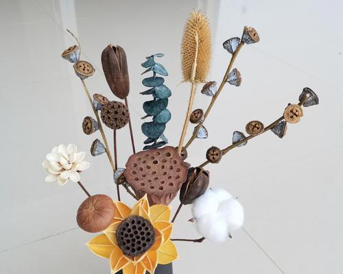 松球干花的花语是什么？松球干花有何含义？