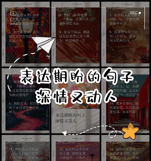 什么花语代表有回应的爱？如何表达深情？