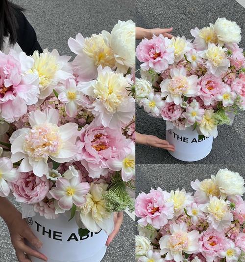 芍药花语大全中各花语的含义是什么？