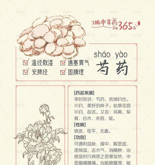 芍药花语大全中各花语的含义是什么？