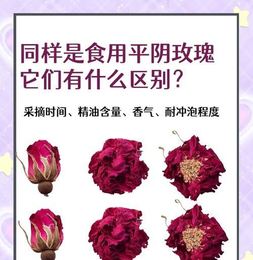 玫瑰花叶子颜色有哪些变化？如何辨别？