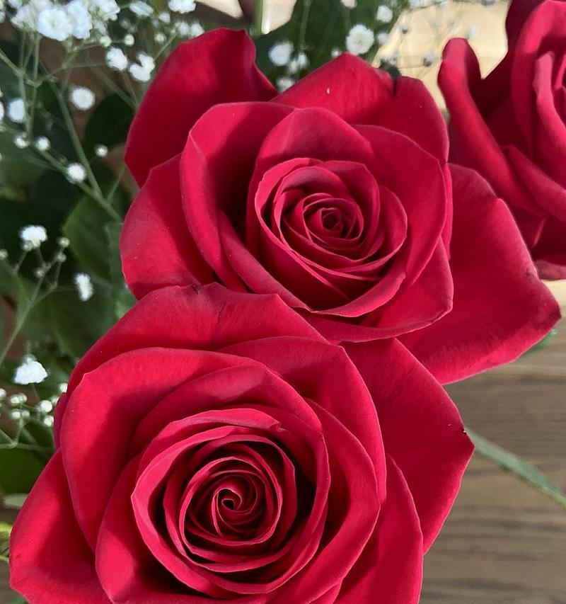 当代花旦花语是什么花？它代表了哪种美？