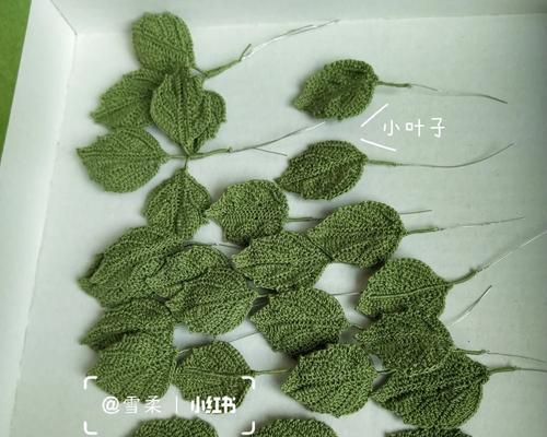 小叶子玫瑰花修剪技巧是什么？怎样修剪更美观？