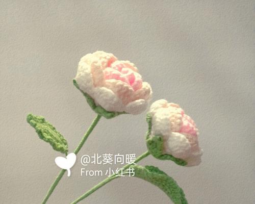 小叶子玫瑰花修剪技巧是什么？怎样修剪更美观？