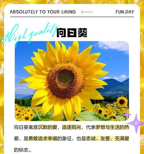 偷听情话的花语有何寓意？这种花语适合哪种场合？