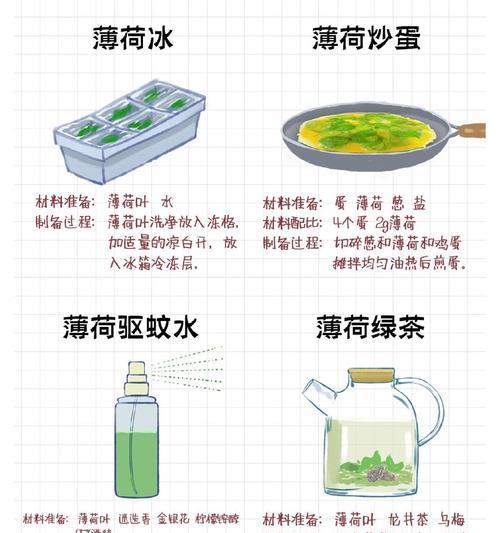 薄荷花语和寓意是什么？就像薄荷的花语代表什么？