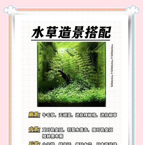 宝塔仙人掌的耐养性如何？正确的养护方法是什么？