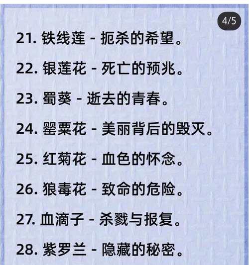 花语先驱在网络用语中是什么意思？
