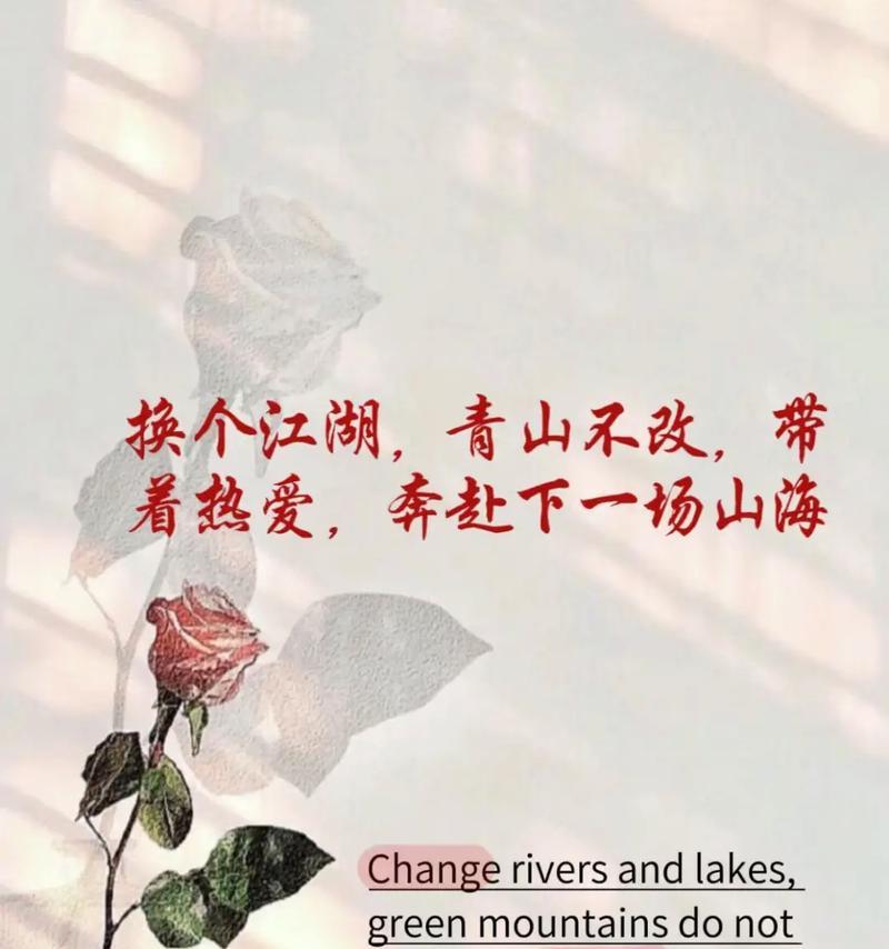 热烈奔赴的花语有哪些？