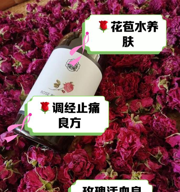 如何区分玫瑰花的不同花苞？花苞的识别方法是什么？