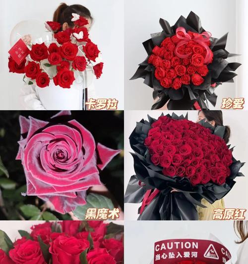 红玫瑰花鲜花的养护方法是什么？