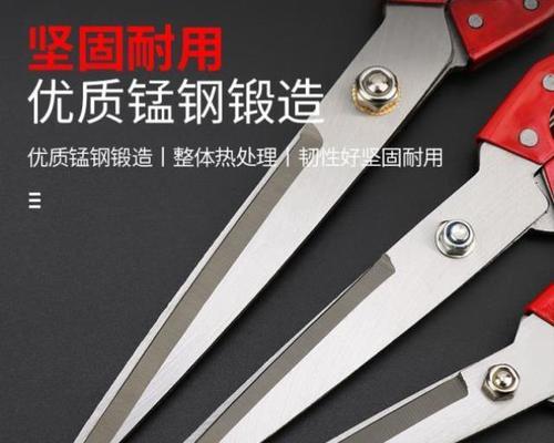 玫瑰花的枝干怎么剪好看？修剪玫瑰花枝干的技巧是什么？