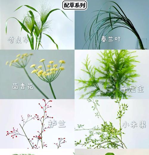 七朵白色洋桔梗的花语是什么？
