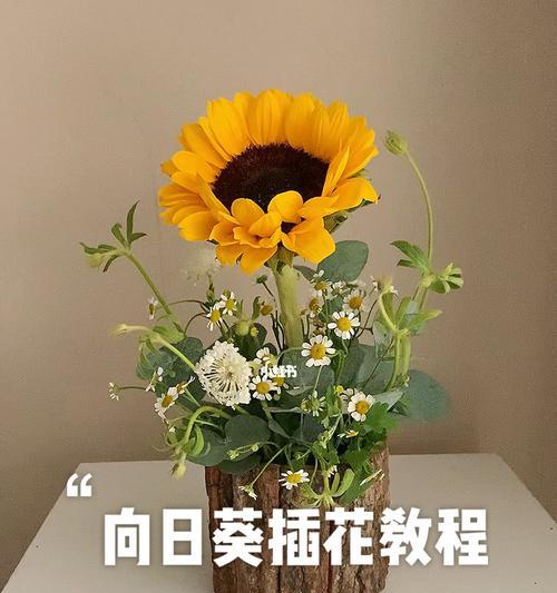 向日葵插花的花语有何特别含义？