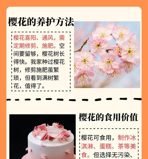 樱花花语的下一句是什么？代表什么？
