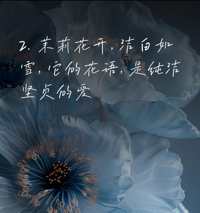 平静爱情的花语有何特别之处？