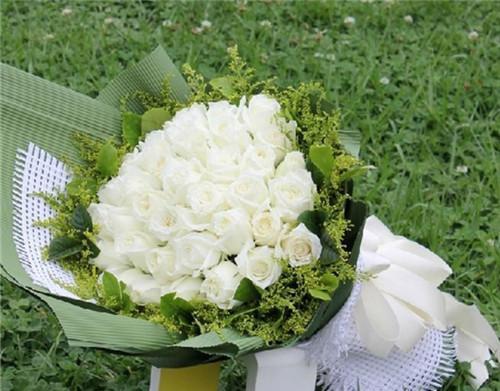 白玫瑰送给老婆代表什么？它的花语有何含义？