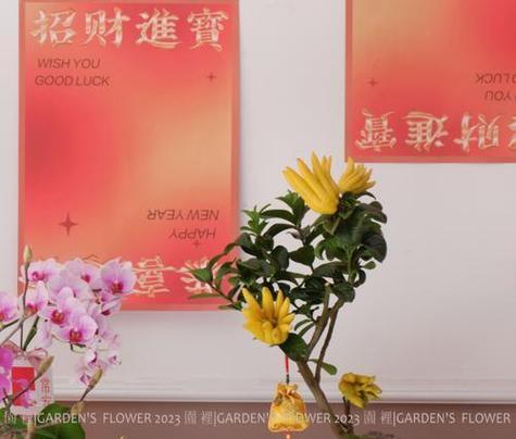 绿植花语有哪些独特含义？