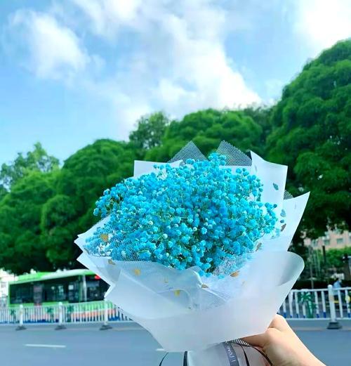 满天星有哪些不同的花语含义？