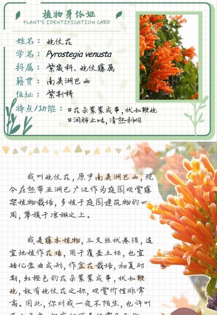花语的深刻含义是什么呢？花语背后的含义是什么？