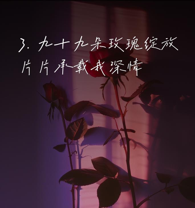 印尼九十九朵玫瑰花代表什么？九十九朵玫瑰的特殊含义是什么？