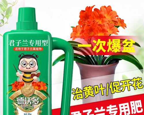 君子兰颗粒缓释肥料的正确使用方法是什么？
