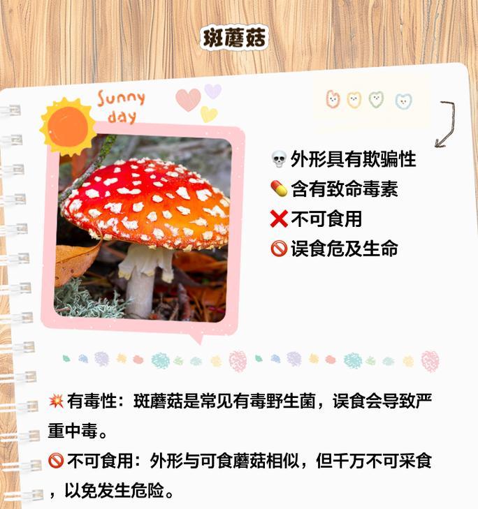 青春蘑的花语代表什么？青春蘑的寓意有哪些？
