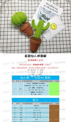 小茶杯种仙人球盆栽的养护技巧是什么？
