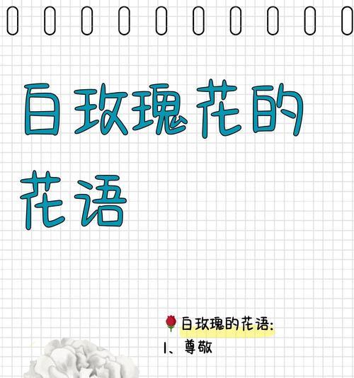 不染凡俗的花语有何深意？
