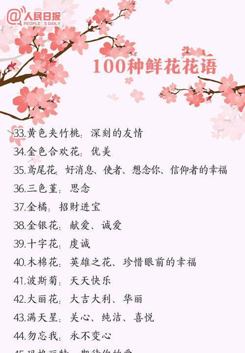 双字花名的花语有哪些？