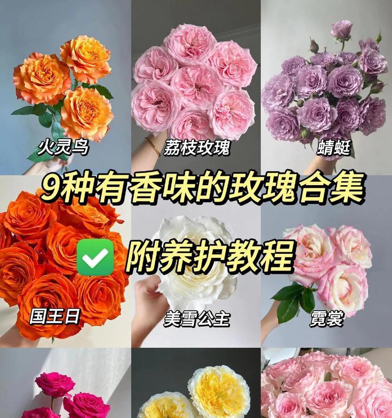 包玫瑰花的插花技巧有哪些？