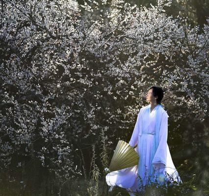 花语留芳通常表达什么情感？