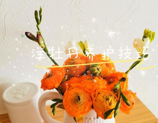 牡丹花不倒栽的养护方法是什么？