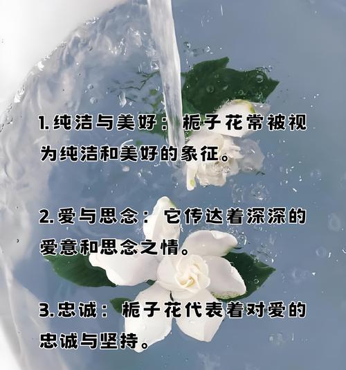 哪种花代表细心善良谨慎忠诚？花语中有哪些含义？